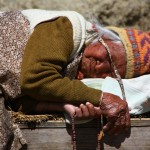 Une petite sieste pour cette mamie des montagnes