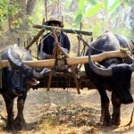 Dans la campagne aux environs de Hispaw