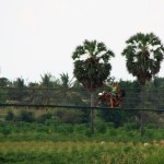 Notre moyen de transport idéal pour visiter la campagne