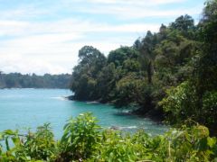 Manual Antonio - Parc National