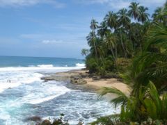 Manzanillo - Punta Mona