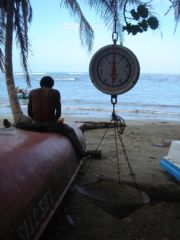 Puerto Viejo de Talamanca