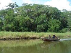 Tortuguero